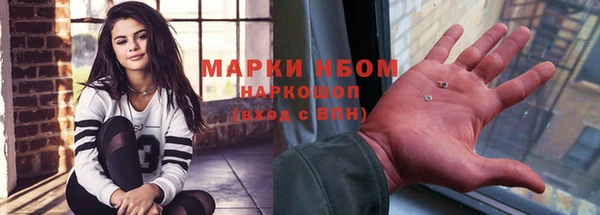 СК Алексин