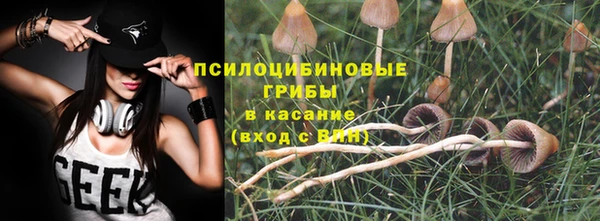 СК Алексин