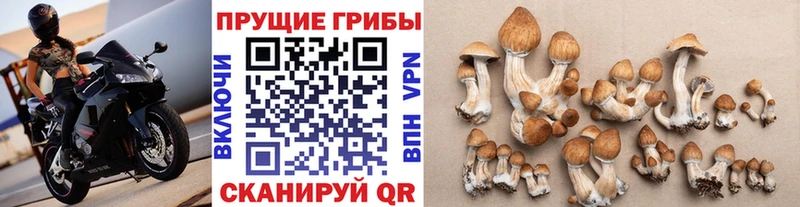 цена   mega как войти  Галлюциногенные грибы GOLDEN TEACHER  Фролово 