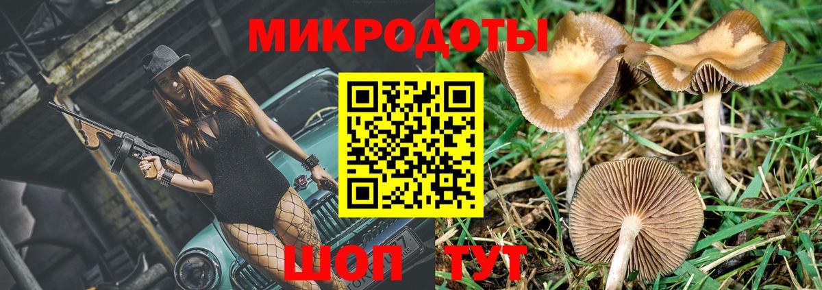 Псилоцибиновые грибы мухоморы  Вход с VPN  Фролово  Галлюциногенные грибы MAGIC MUSHROOMS 